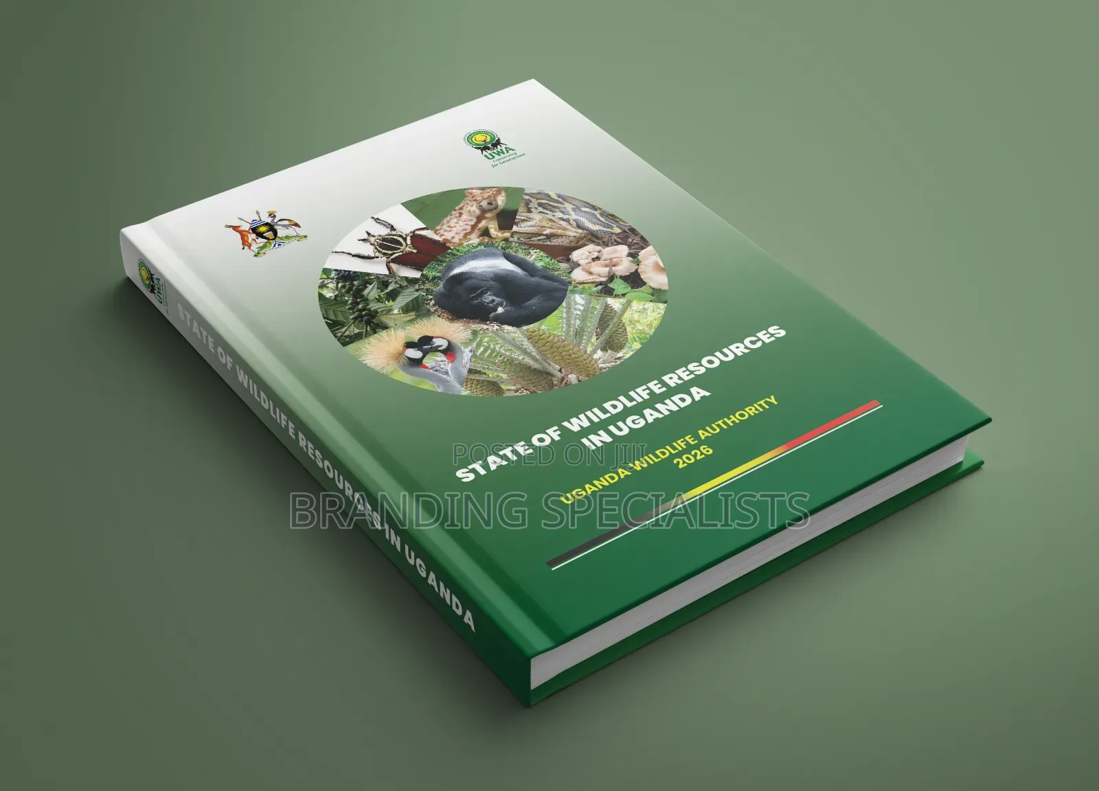 Company Annual Reports and Company Profile Layout and Designing