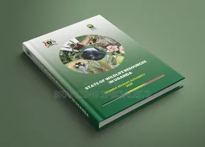 Company Annual Reports and Company Profile Layout and Designing