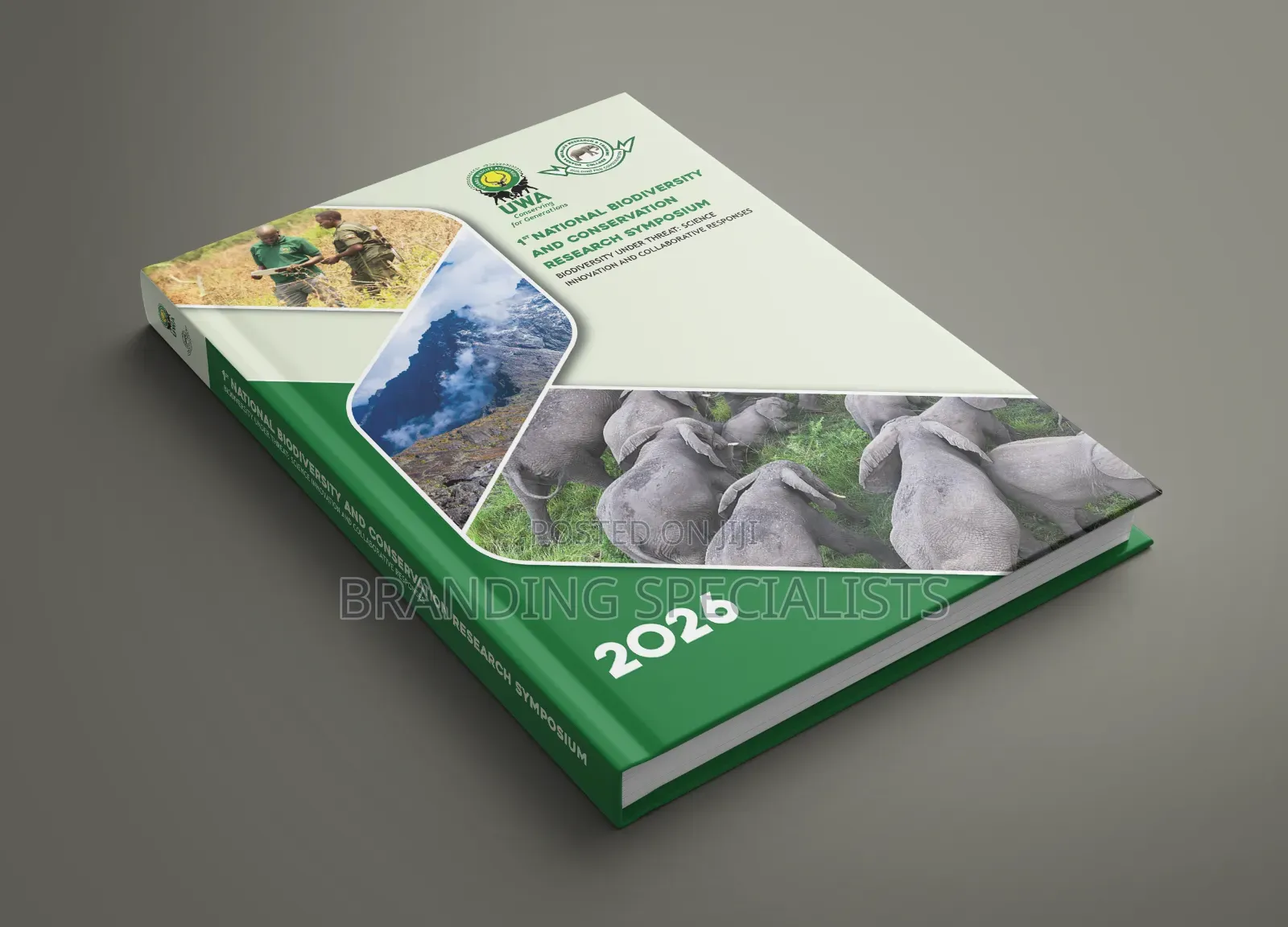 Company Annual Reports and Company Profile Layout and Designing