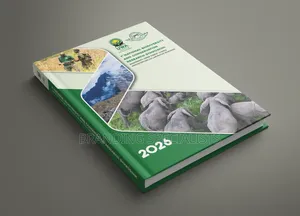 Company Annual Reports and Company Profile Layout and Designing