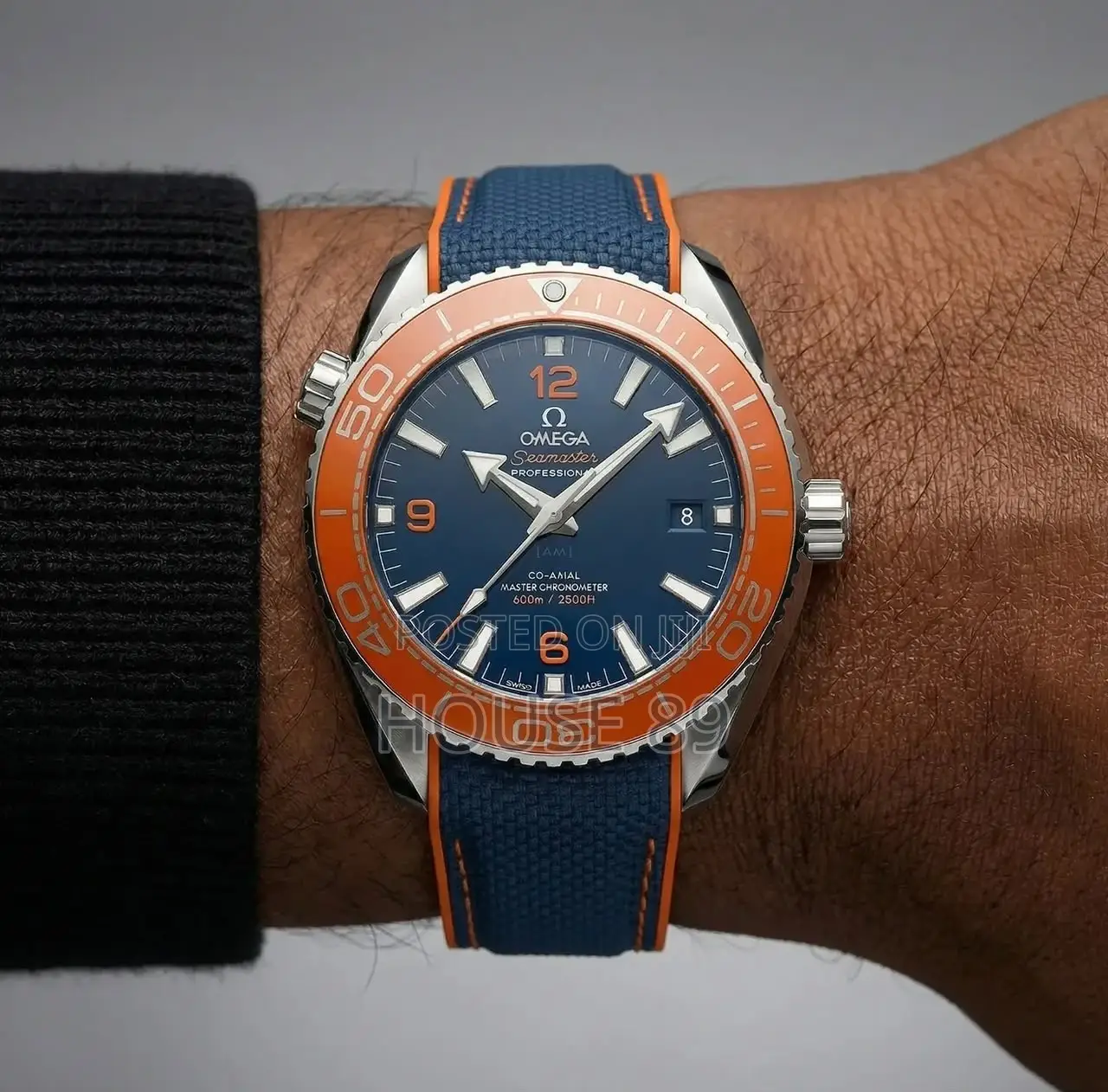 Omega Sea Manster Planet Ocean 600M