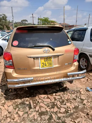 Toyota Corolla Fielder 2010 Gold