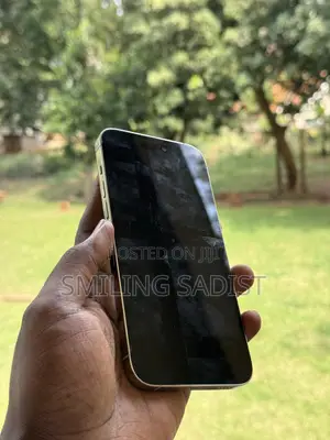 Apple iPhone 14 Pro Max 256 GB White