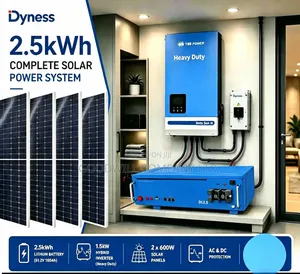 2.5kwh 1.5kva Dyness Hybrid Complete Solar System
