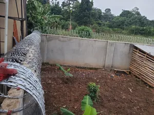 Razor Wire Products Roofings Galvanized