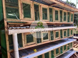 15 Units Rabbit Cage