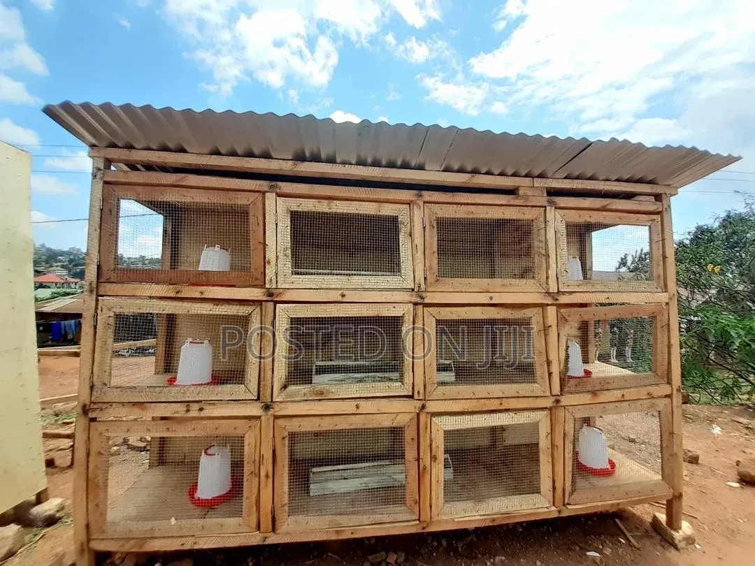 Bigger Chicken Cage
