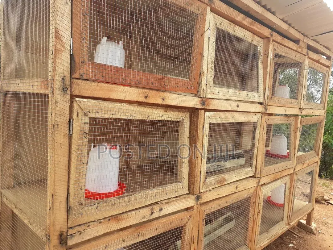 Bigger Chicken Cage