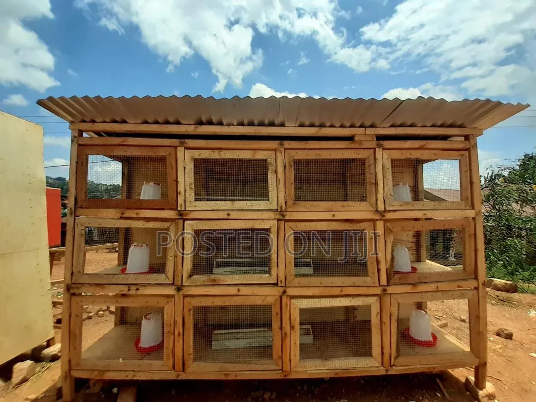 Bigger Chicken Cage