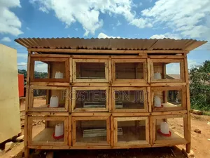 Bigger Chicken Cage