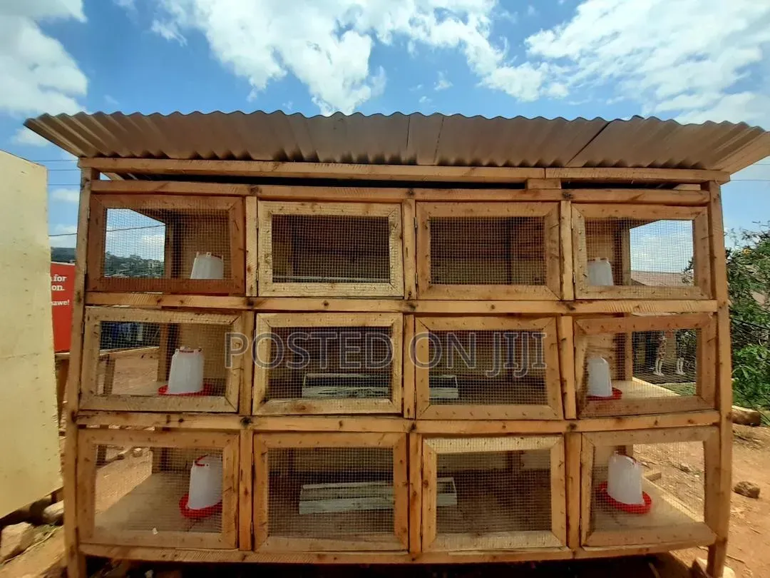 Bigger Chicken Cage