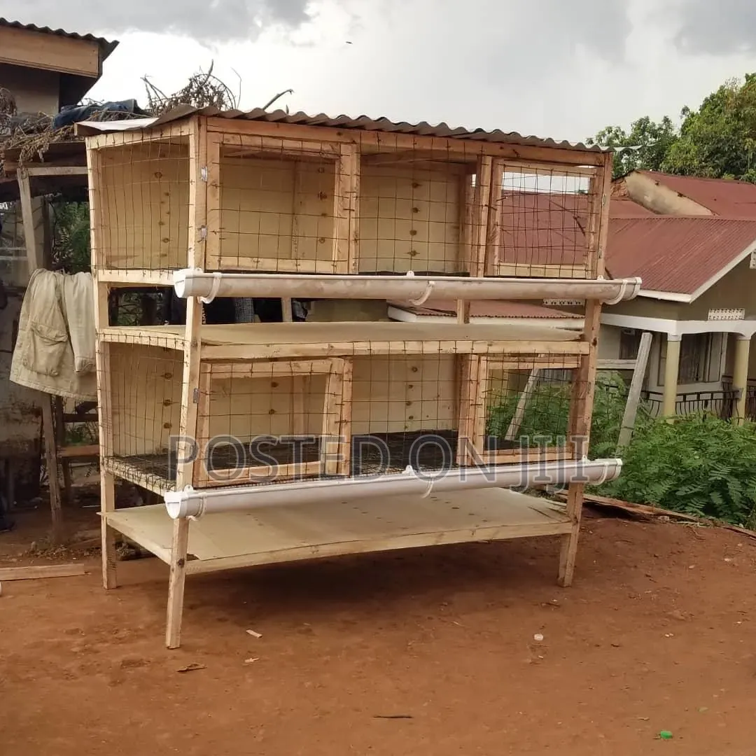 Range Chicken House