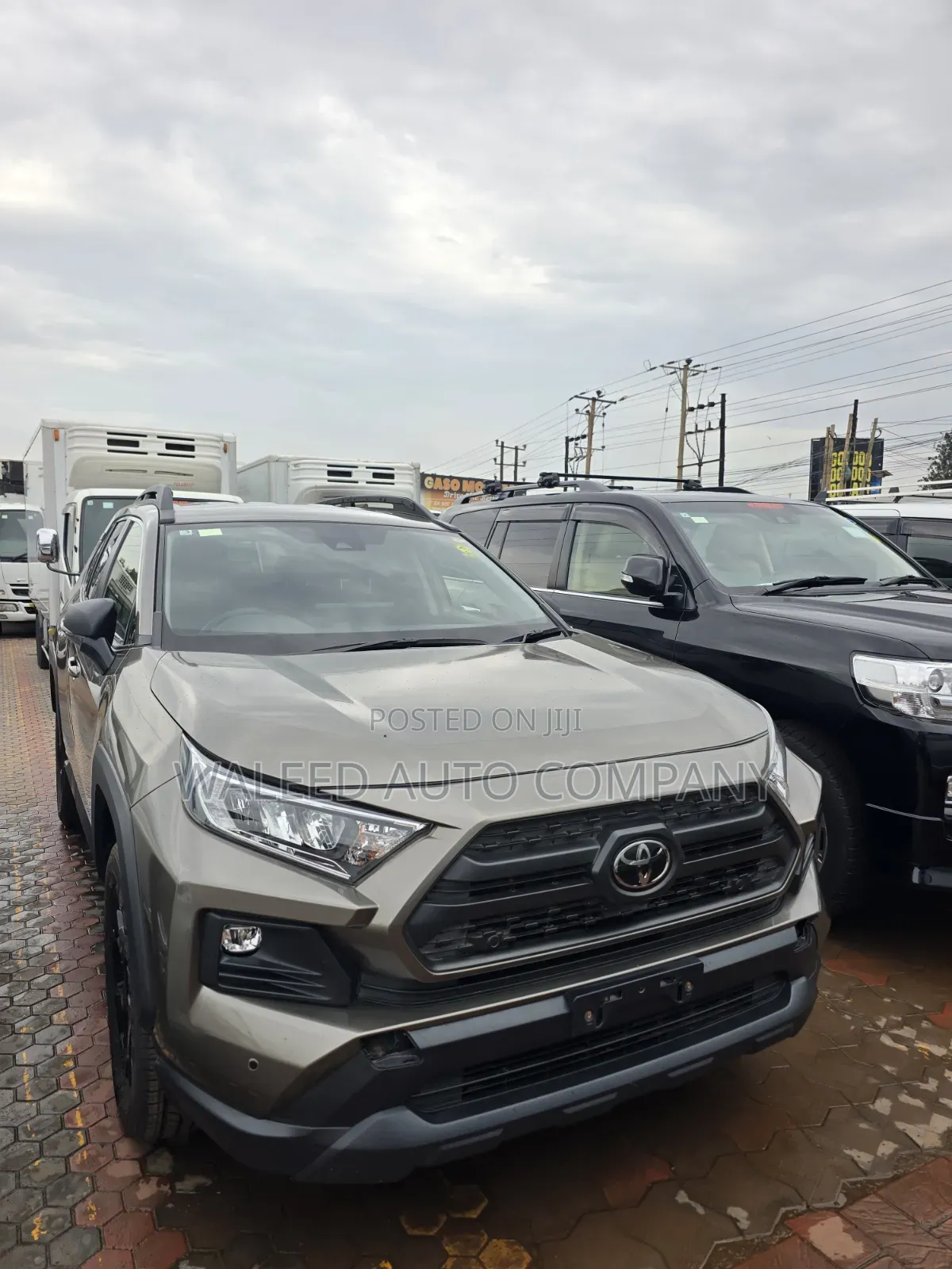 New Toyota RAV4 2025 Beige
