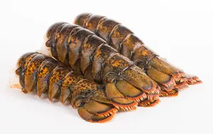 Lobster Fish Kilogram