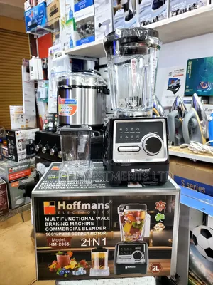 Hoffmans Blender 200w 2l Commercial 2in1