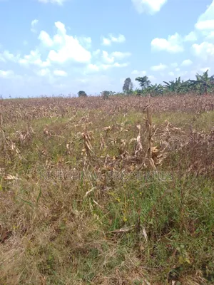 Land for Sale at Kabimbiri Kibamba