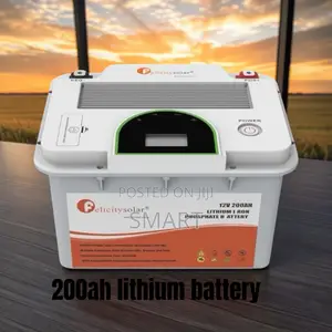 Heavy-Duty 200Ah 12V Felicity Lithium Battery for Backup Systems