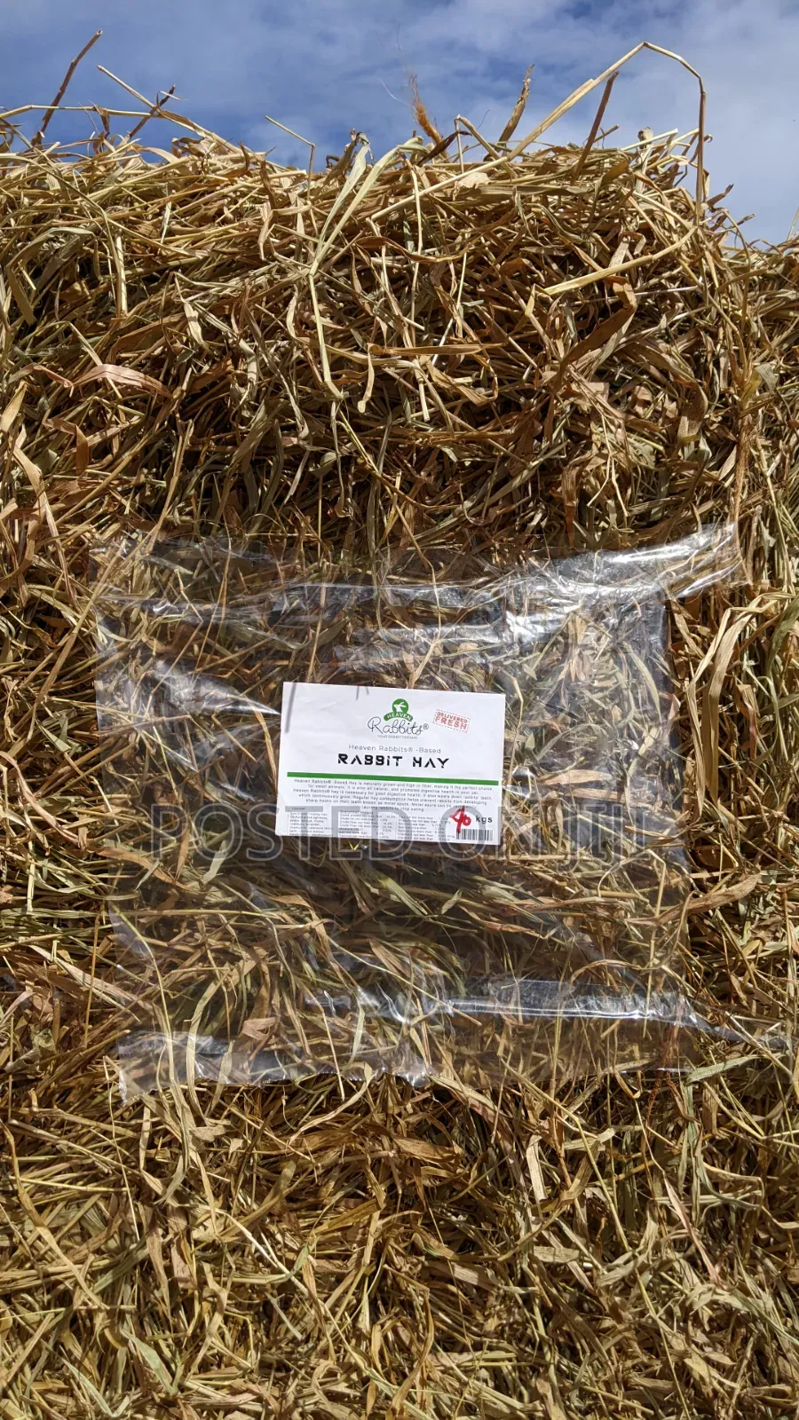 Animal Hay