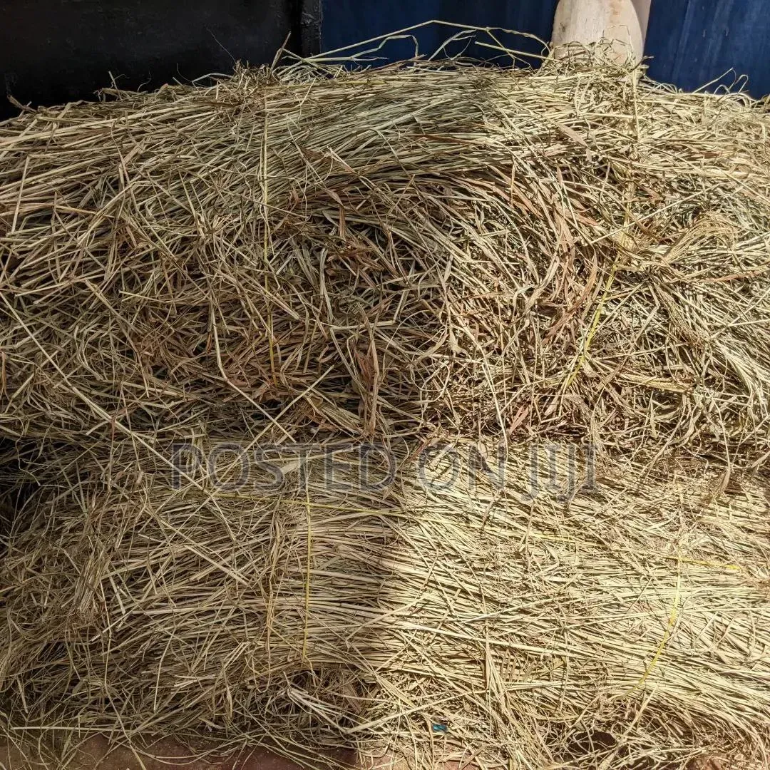 Animal Hay
