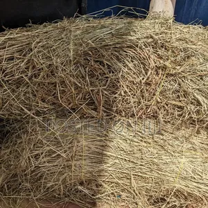 Animal Hay