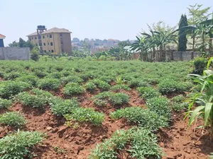 23 Decimals for Sale in Kira-Mulawa