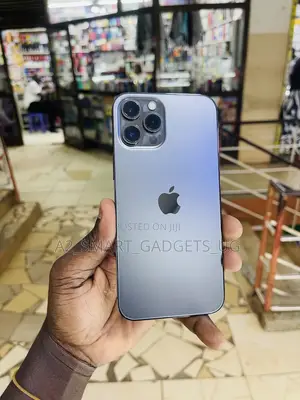 Apple iPhone 12 Pro Max 512 GB Gray