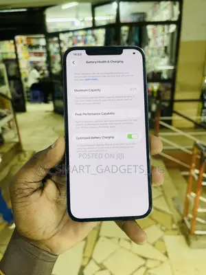 Apple iPhone 12 Pro Max 512 GB Gray