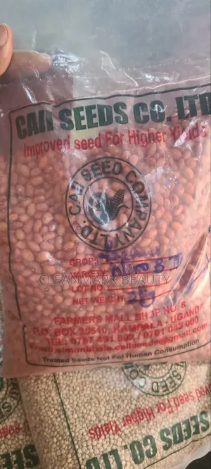 2kg G.nunts (Naro B 111