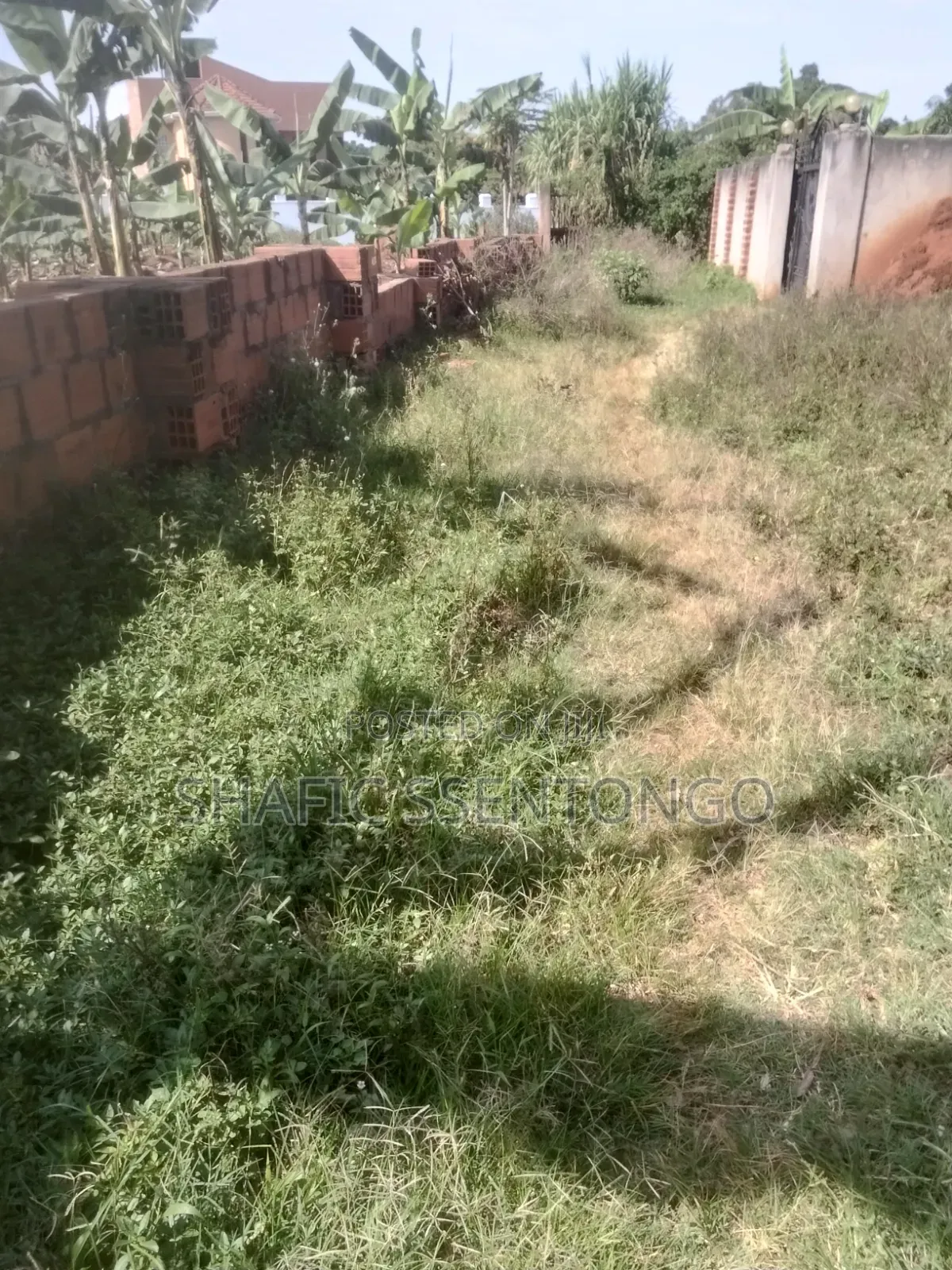 Plot for Sale