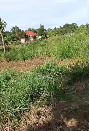 3Plots for Sale in Kasanjje Ziba