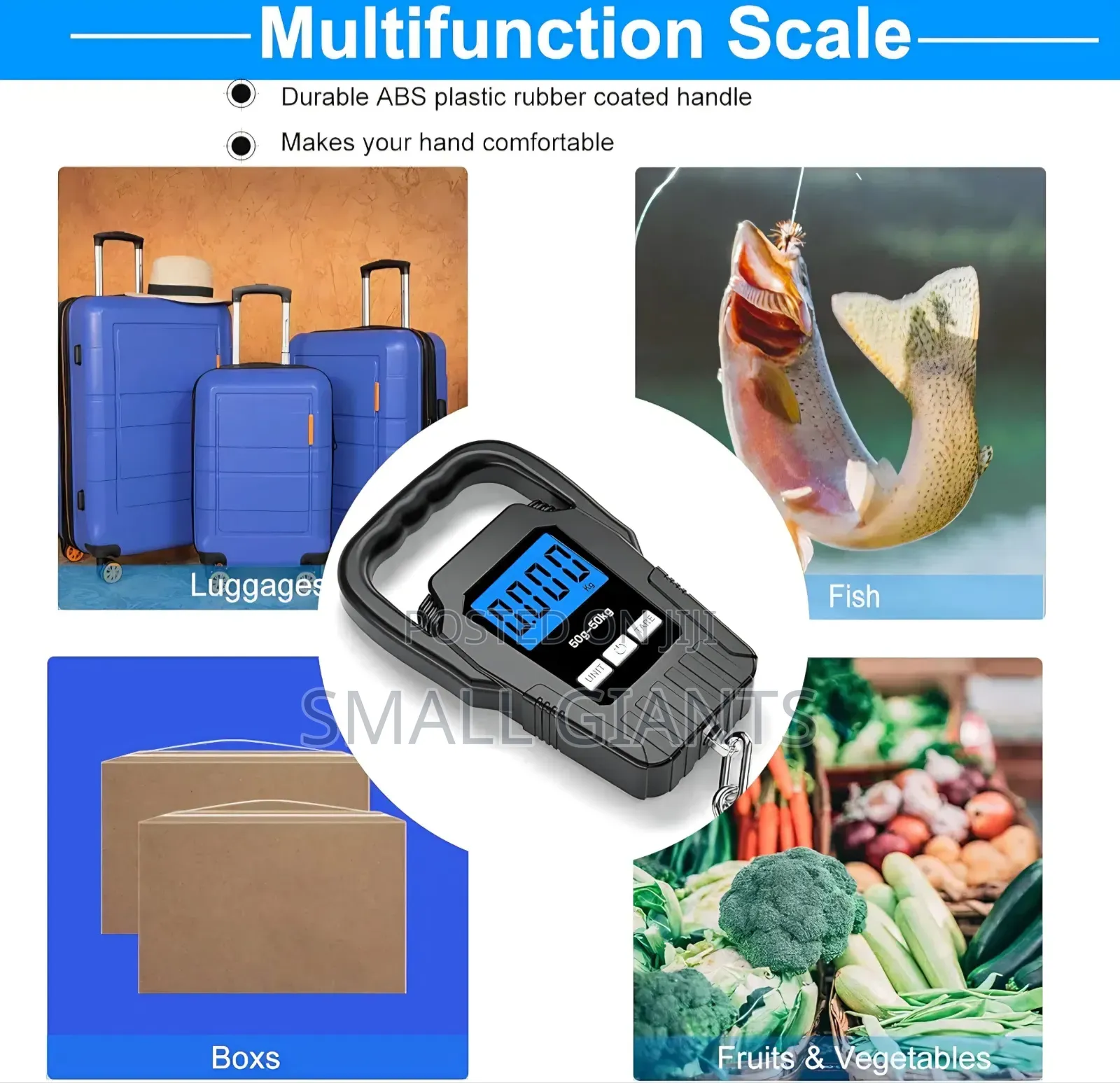 Digital Fish Scale Hanging Scale