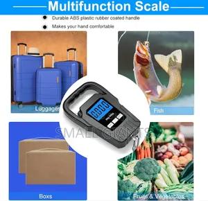 Digital Fish Scale Hanging Scale