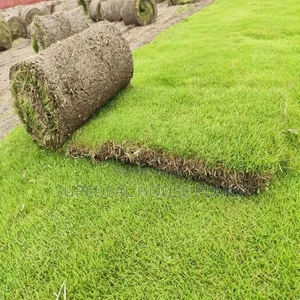 Natural Grass