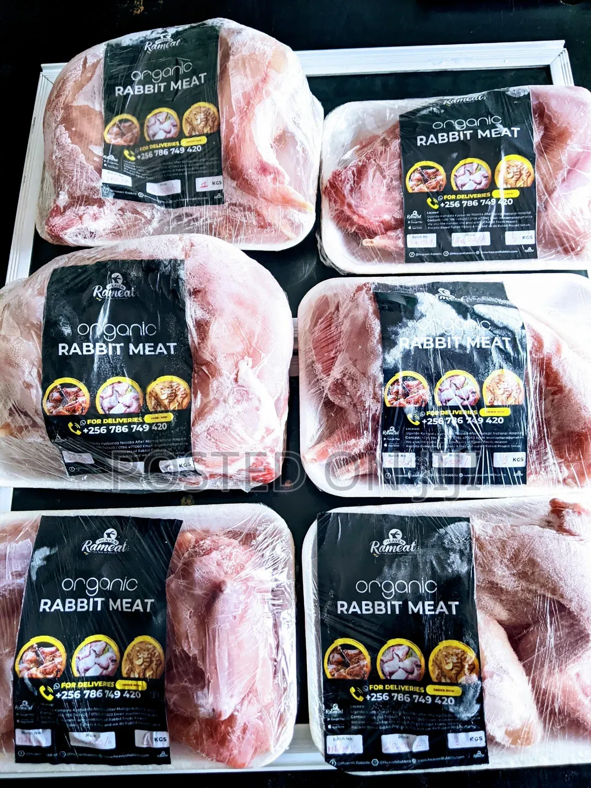 Premium Whole Rabbit Meat
