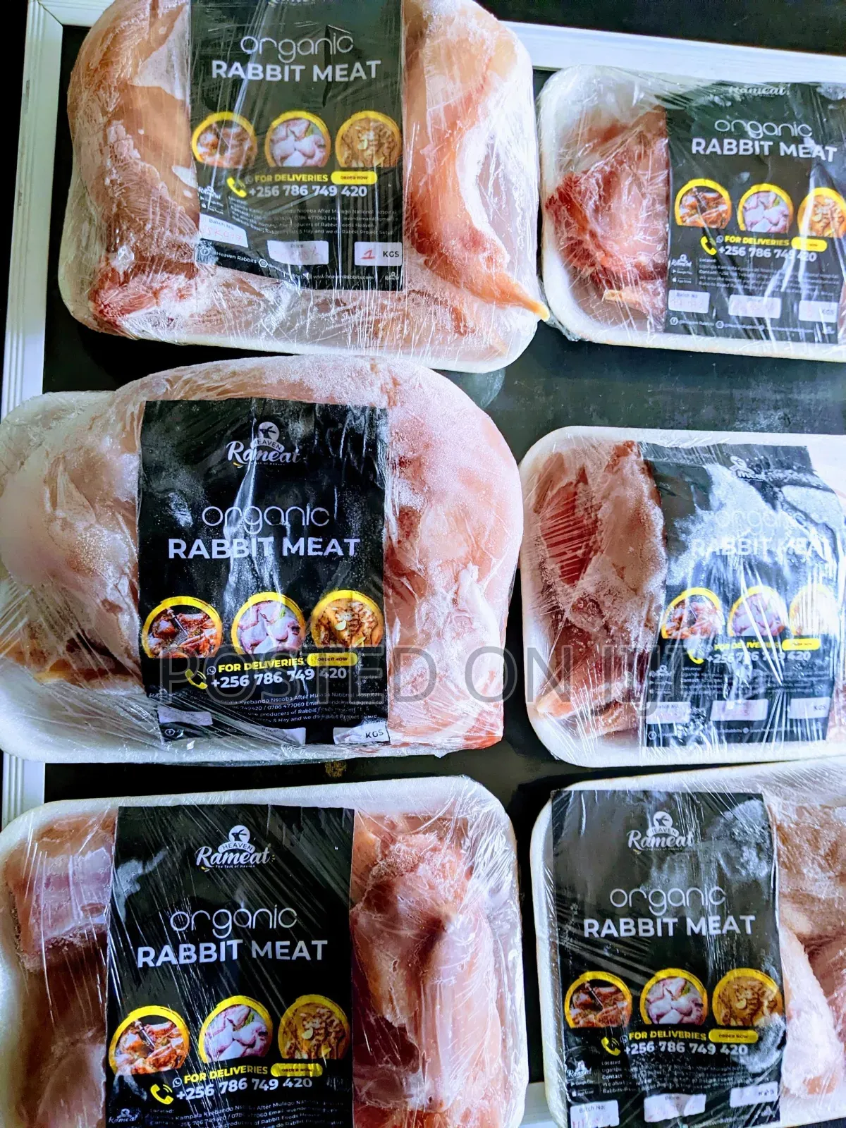 Premium Whole Rabbit Meat