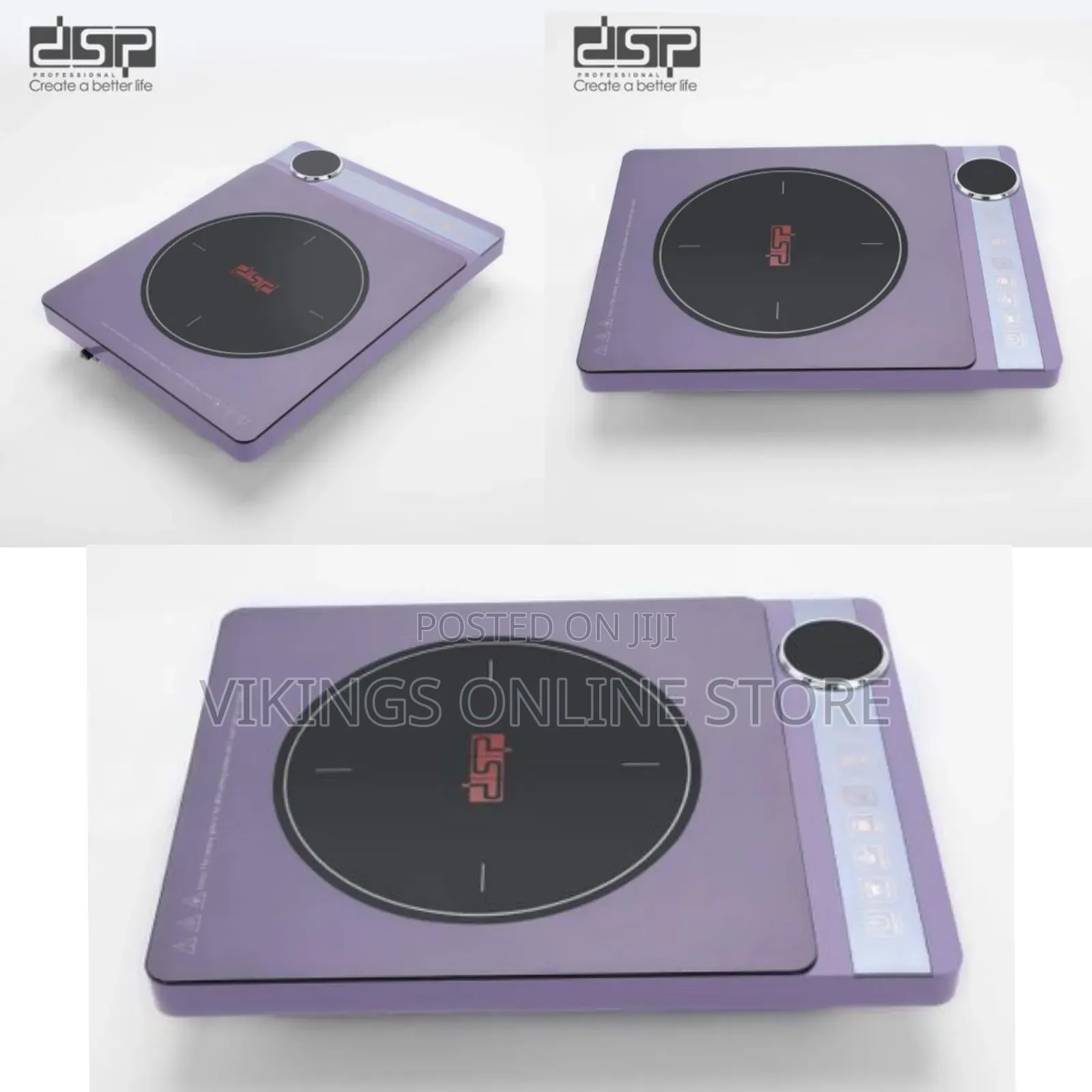 DSP Single Burner Intelligent Selection of Digital Signal Processor