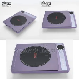 DSP Single Burner Intelligent Selection of Digital Signal Processor