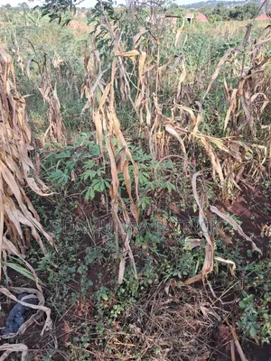 Agreement Land for Sale