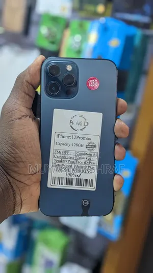 Apple iPhone 12 Pro Max 128 GB Gray