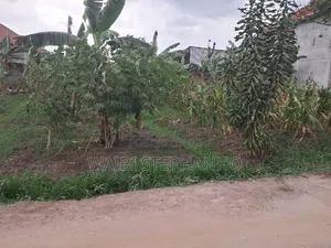 Money Lender Pressure!! 
Prime Plot Measuring 12 Decimals in Kasangati