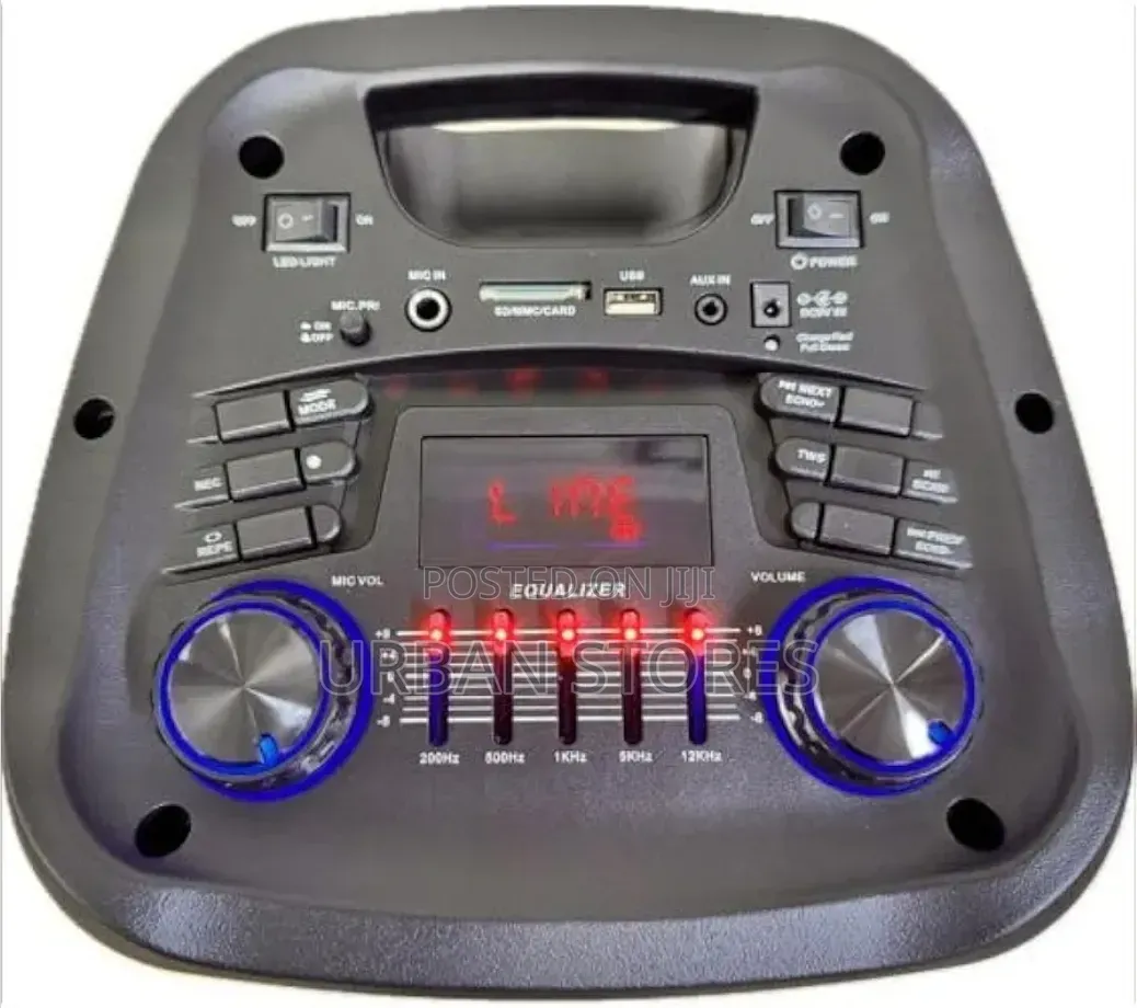 Party Speaker Wireless Rechargeable Speaker With Microphone