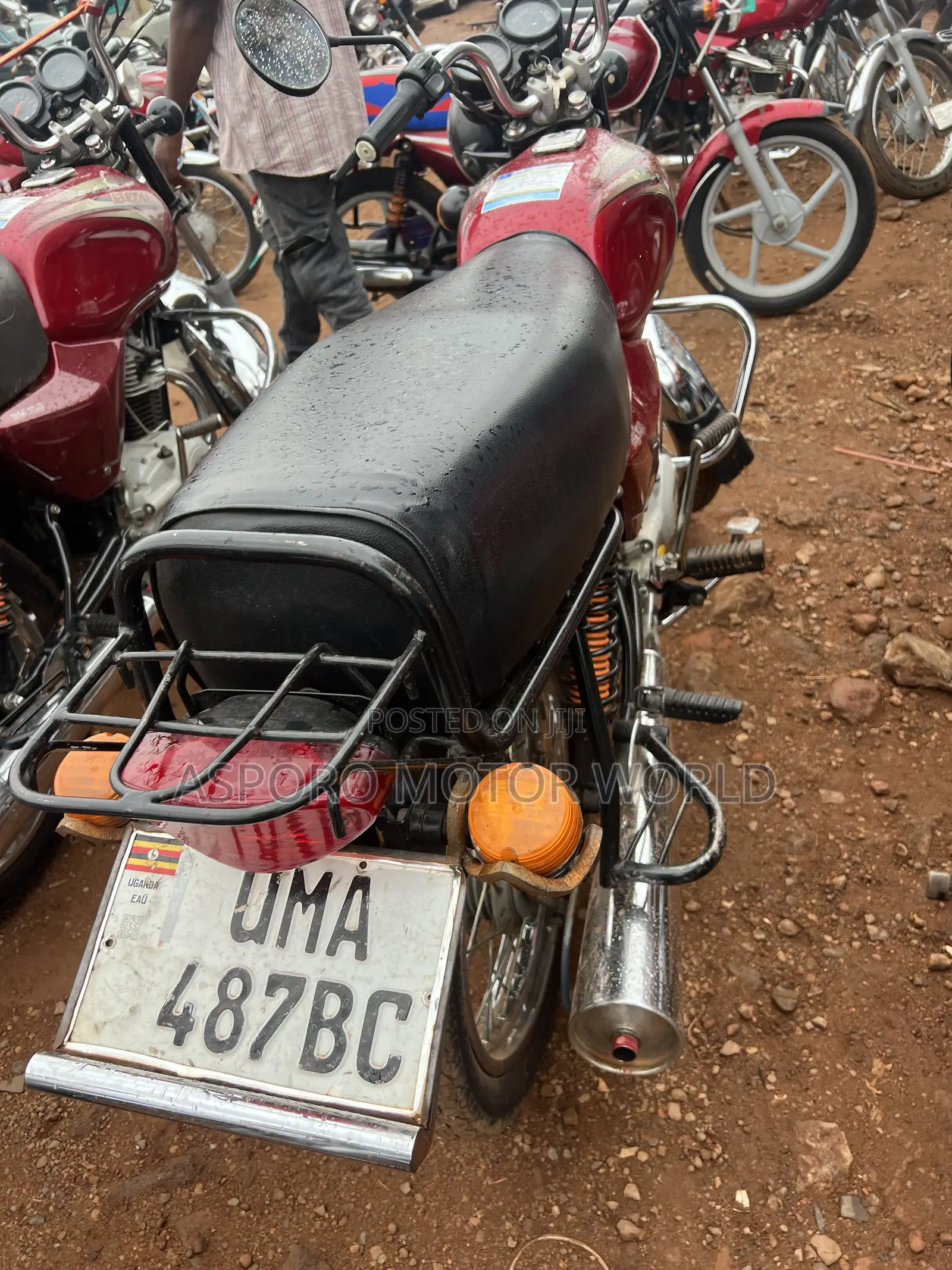 Bajaj Boxer 100 2025 Red