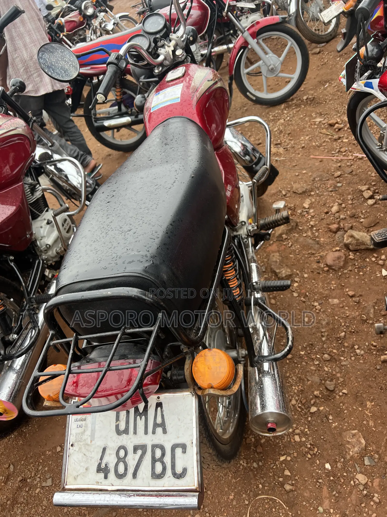 Bajaj Boxer 100 2025 Red
