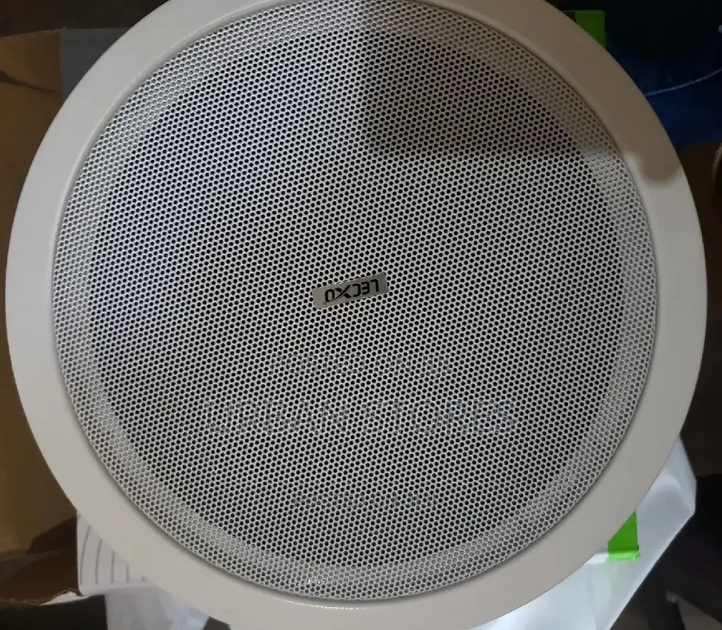 Lecxo 30-Watt Ceiling Speaker