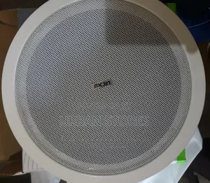Lecxo 30-Watt Ceiling Speaker