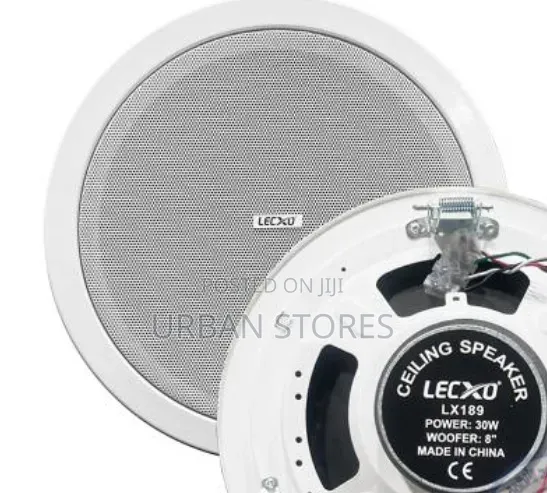 Lecxo 30-Watt Ceiling Speaker