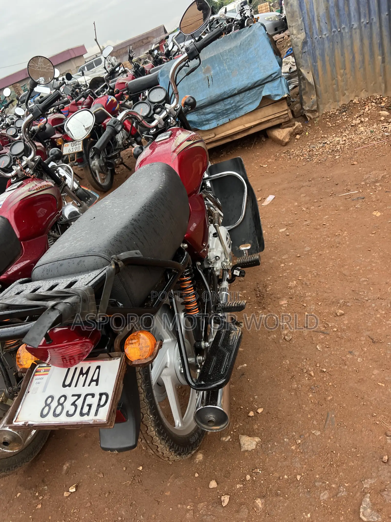 Bajaj Boxer 100 2026 Red