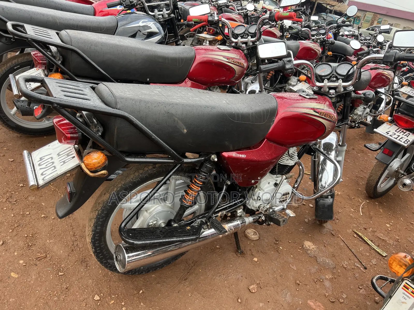 Bajaj Boxer 100 2026 Red