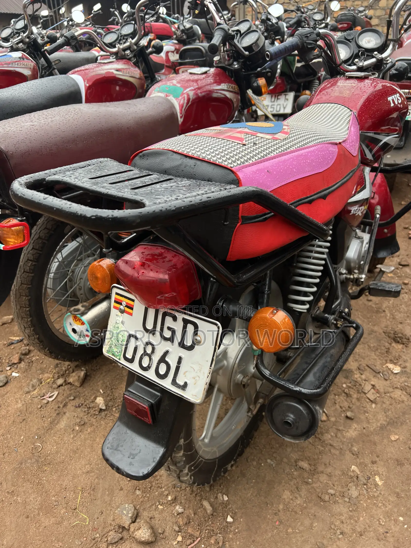 TVS HLX 125 2024 Red