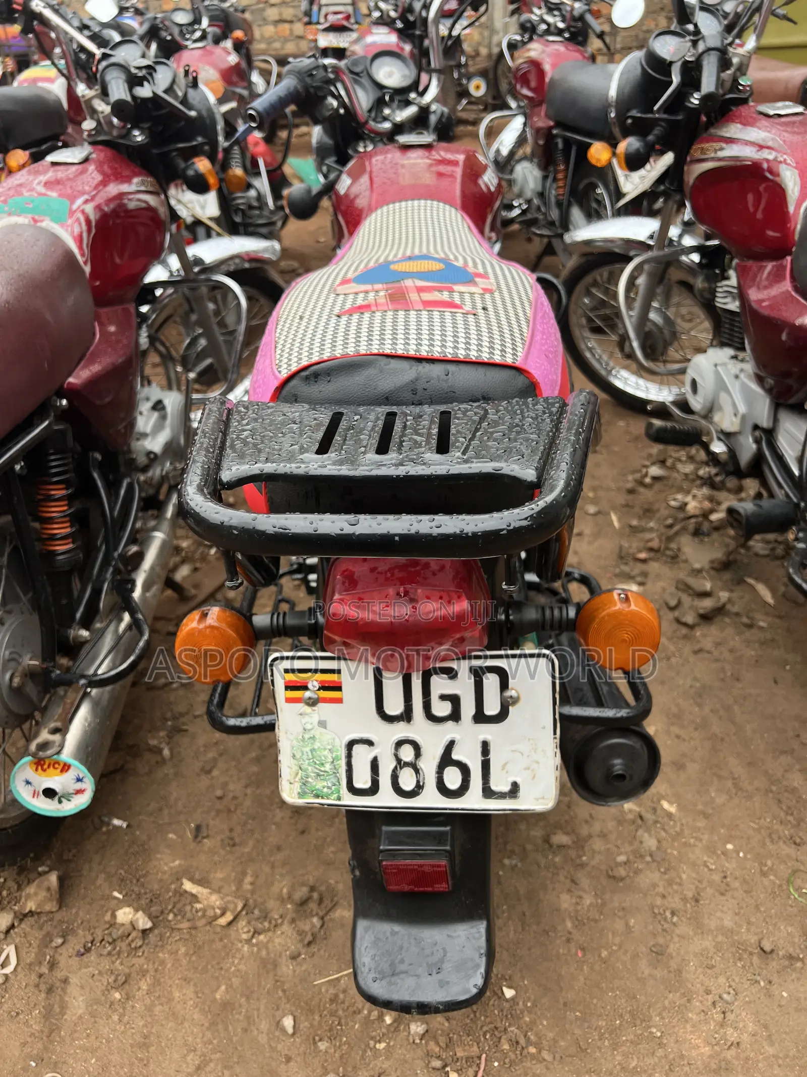 TVS HLX 125 2024 Red